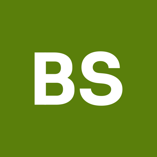 Bright Side Wax logo